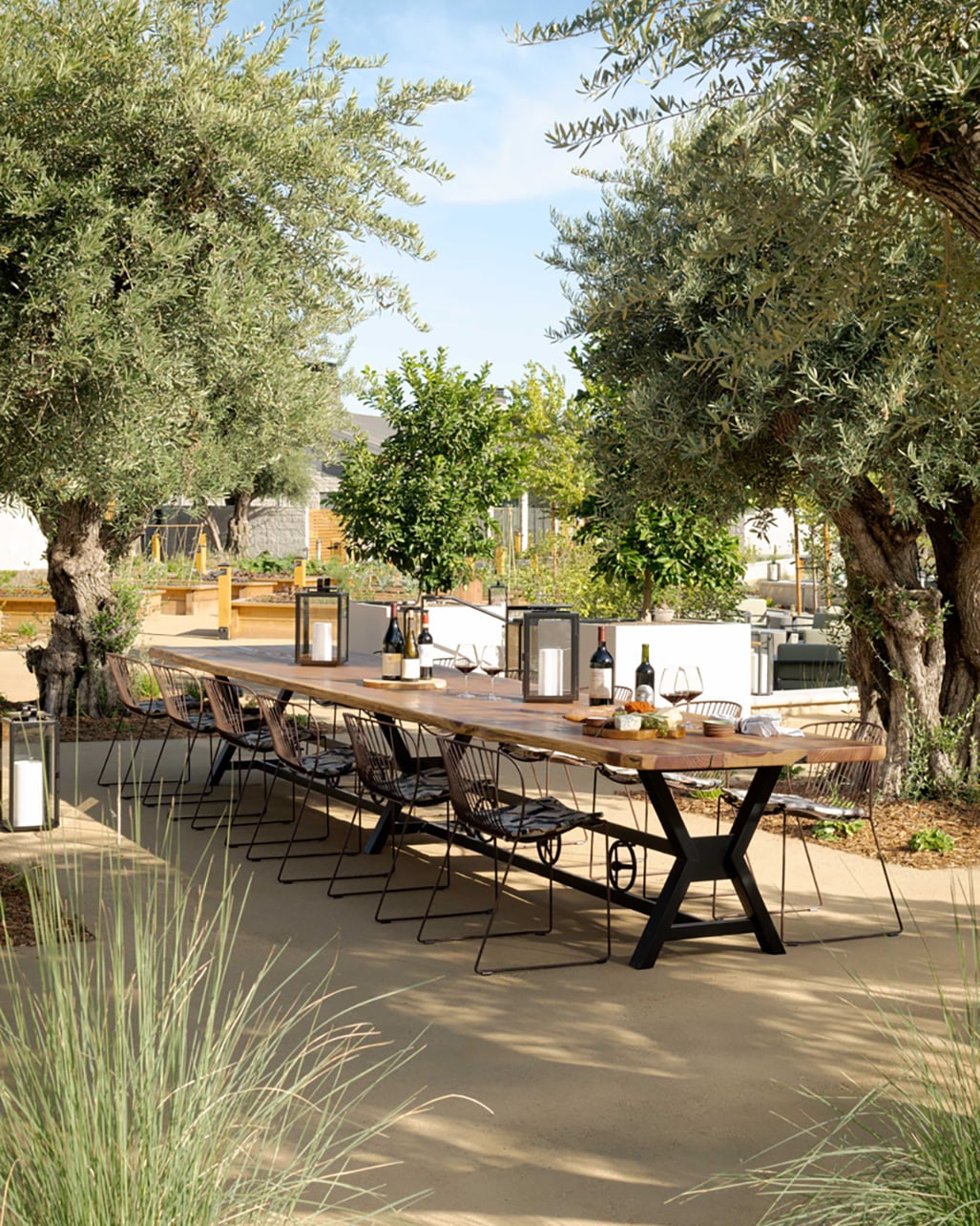 Long outdoor dining table set with wine