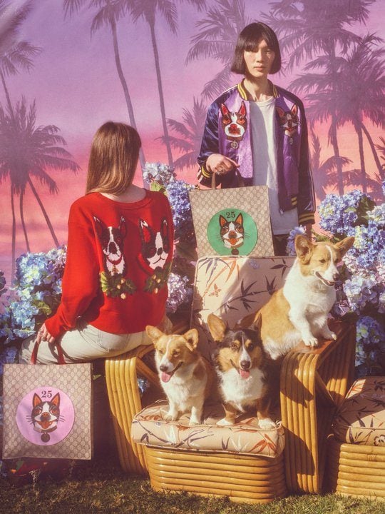 Louis Vuitton | Dog Doudou Oscar | GI0251