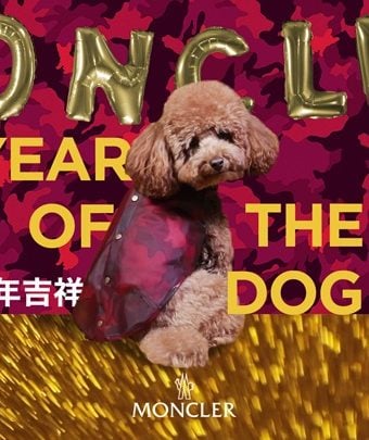 Moncler year of the dog