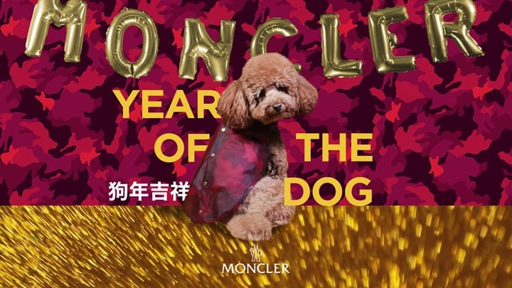 Moncler year of the dog