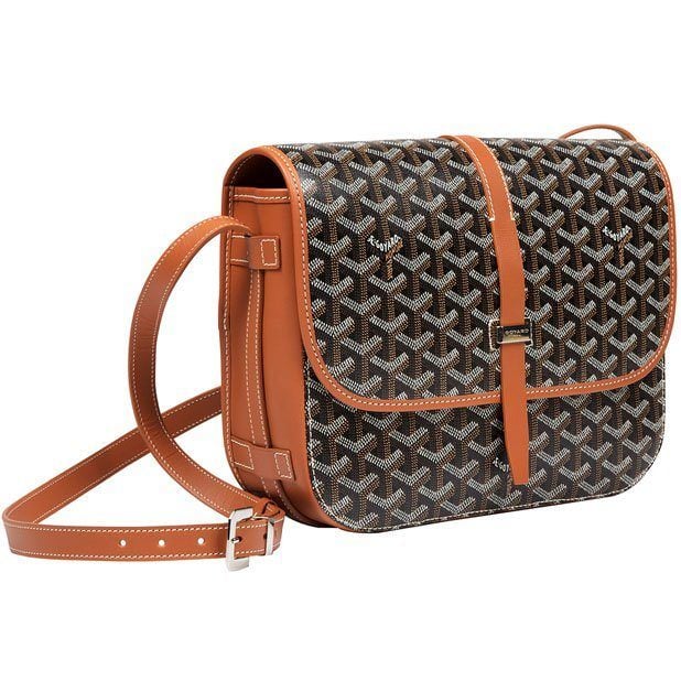 Goyard-Belvedere 2 GM bag.