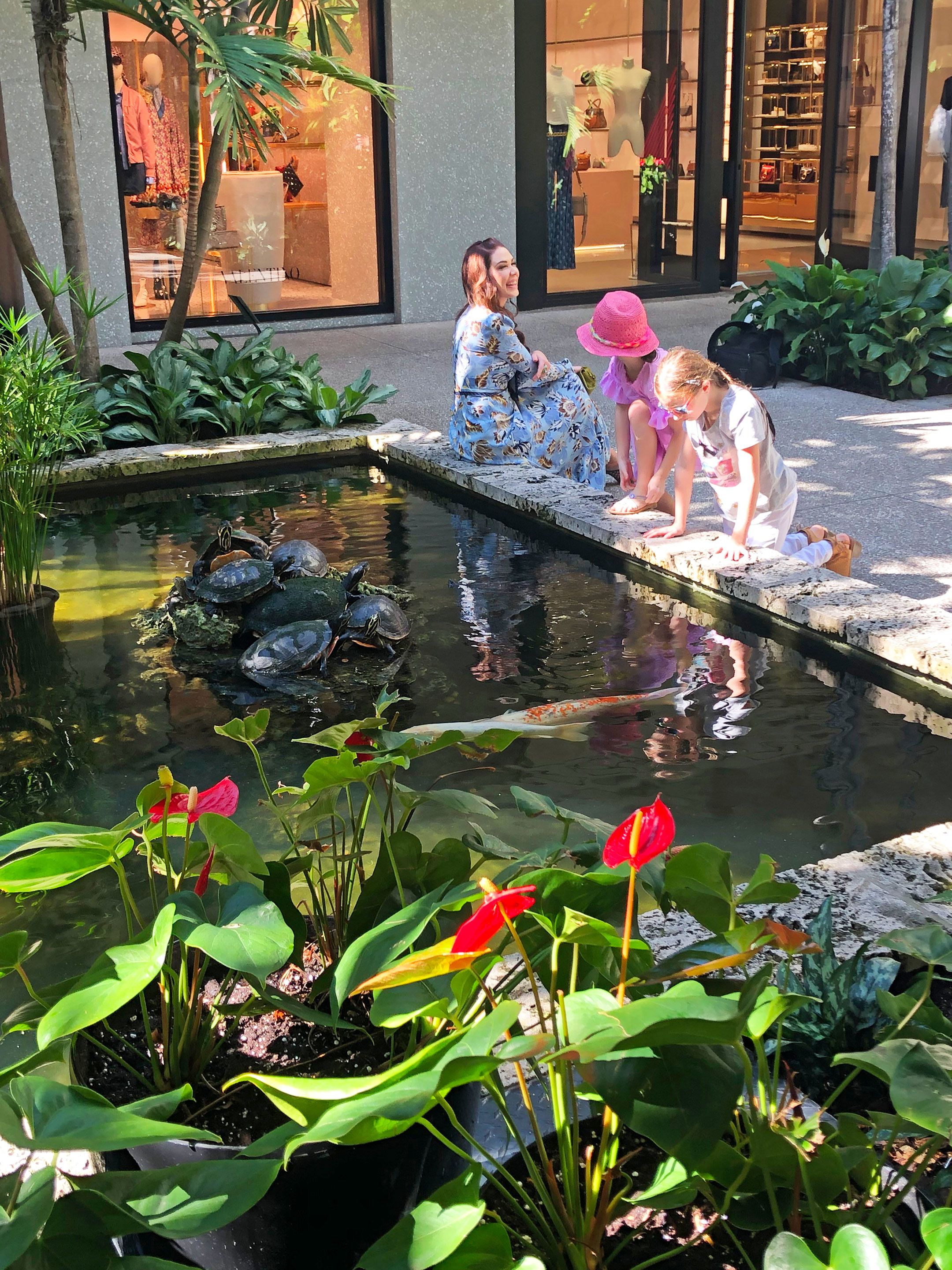 bhspondturtles Bal Harbour Shops