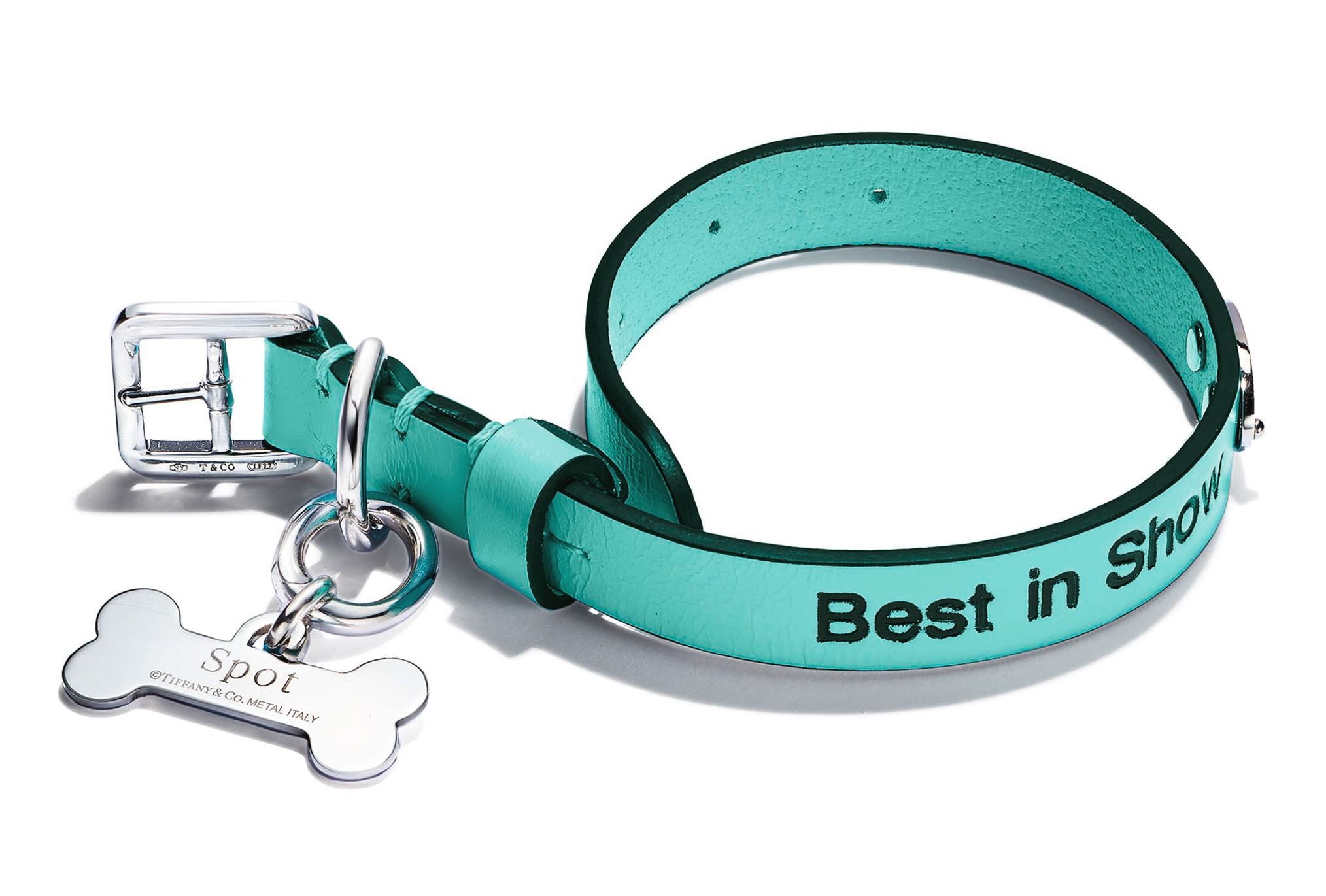Tiffany Blue Pet Collar in Leather