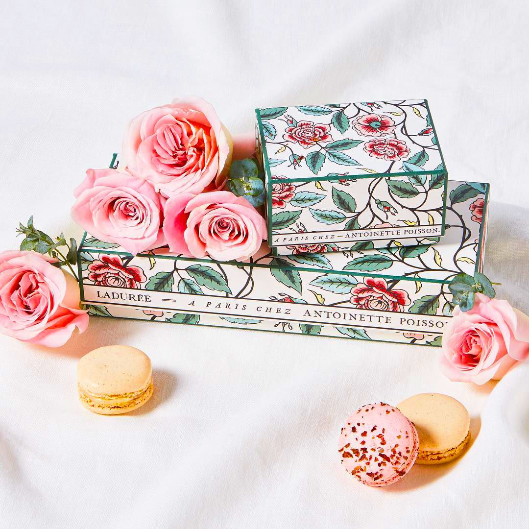 The rose garden limited edition macaron box dreamed up by Ladurée and À Paris chez Antoinette Poisson