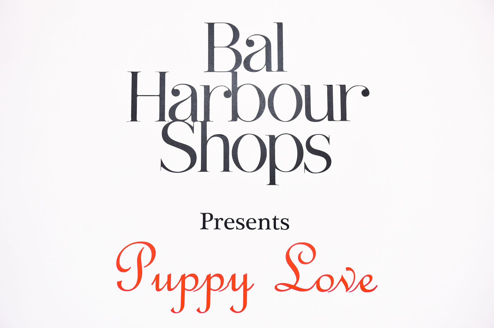 Bal Harbour Shops partnered with Walk in Style for the Animals to host Puppy Love on Wednesday, February 12th benefiting Big Dog Ranch Rescue