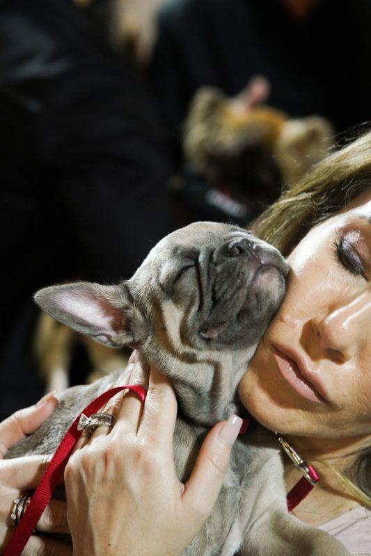 Mariann Marinberg and her dog Aventador