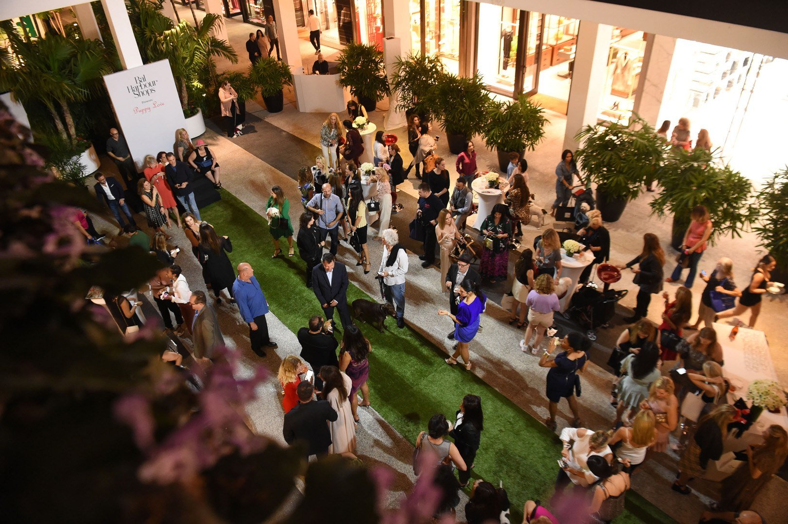 Aerial shot of center courtyard during the Puppy Love event