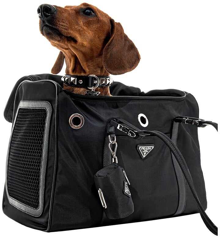 Prada Nylon and Saffiano Leather Pet Bag.
