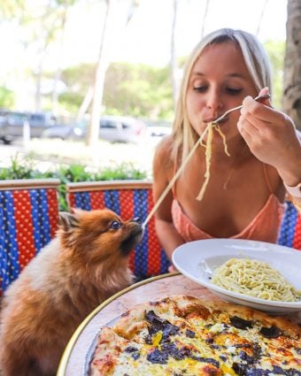 Sami Schnur of @thenaughtyfork dining at Le Zoo Bal Harbour for our #BHSLovetoEat Series.