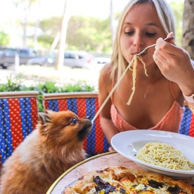 Sami Schnur of @thenaughtyfork dining at Le Zoo Bal Harbour for our #BHSLovetoEat Series.