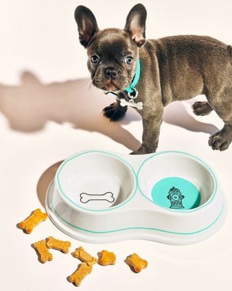 Tiffany & Co. Double Dog Bowl and Pet Collar in Tiffany Blue with Bone Collar Charm.