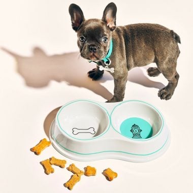 Tiffany & Co. Double Dog Bowl and Pet Collar in Tiffany Blue with Bone Collar Charm.