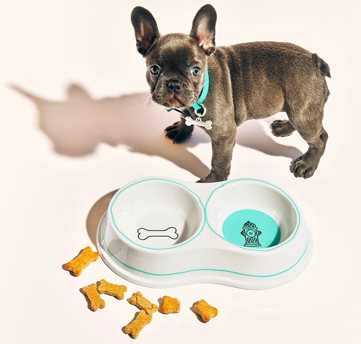 Tiffany & Co. Double Dog Bowl and Pet Collar in Tiffany Blue with Bone Collar Charm.