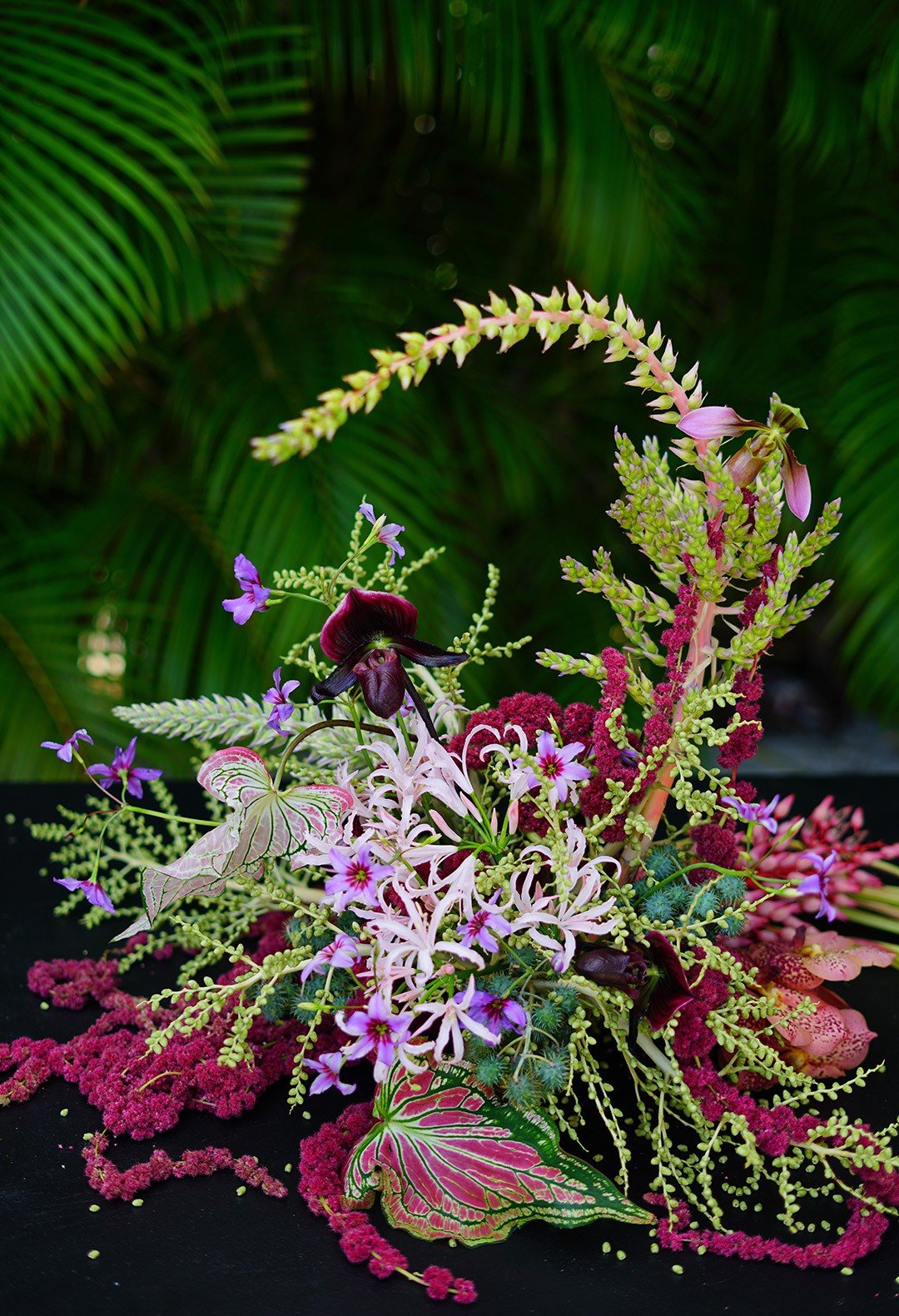 An arrangement by Jenya Flowers featuring bromelias, Lady Slipper orchids, nerine and heart-shaped caladium leaves.