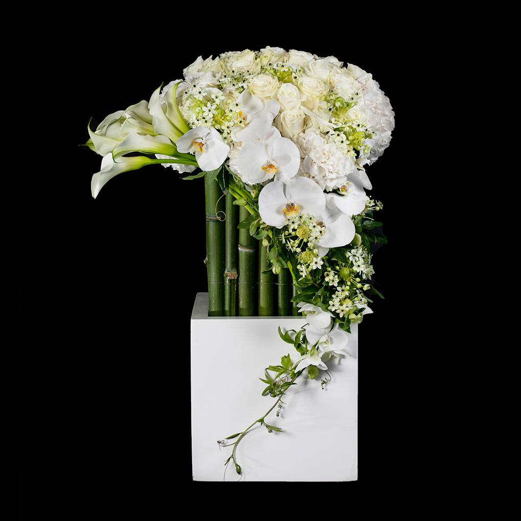 Ovando’s Serene Silhouette arrangement from the Black Collection, featuring white roses, calla lilies, hydrangea and phalaenopsis orchids.