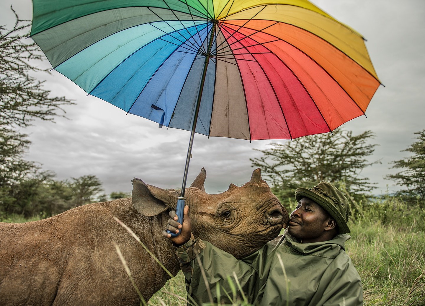 Kamara is nuzzled by a black rhino named Kilifi, who he hand-raised along with two other baby rhinos at Lewa Wildlife Conservancy in Kenya.