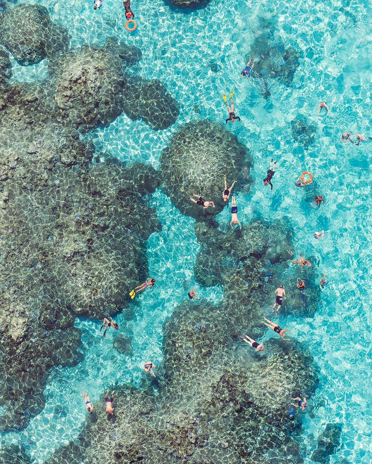 Arial photo of people swimming around a reef in Bora Bora