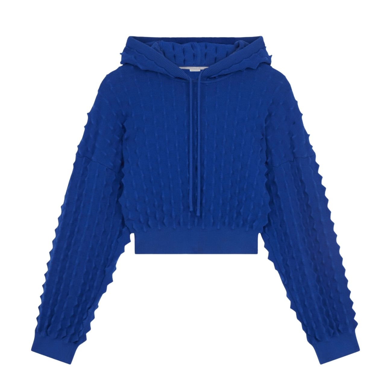 Blue stella McCartney hooded jacket