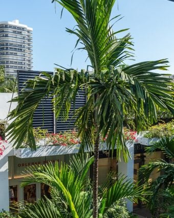 View from Bal Harbour Shops level three stores