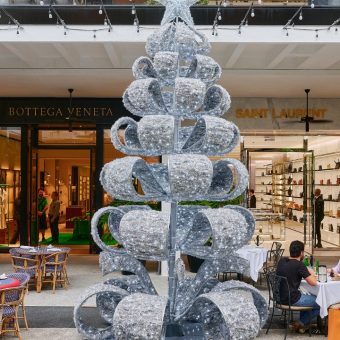 A Holiday Forest