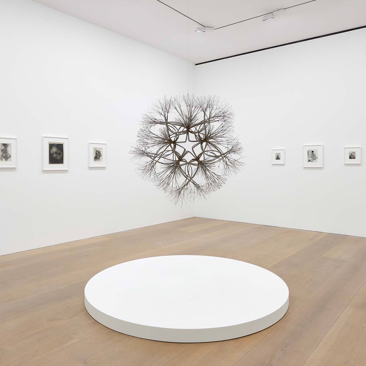 Ruth Asawa installation in a gallery