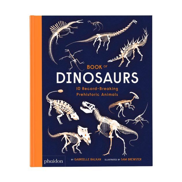 front cover of book of dinosaurs children's book
