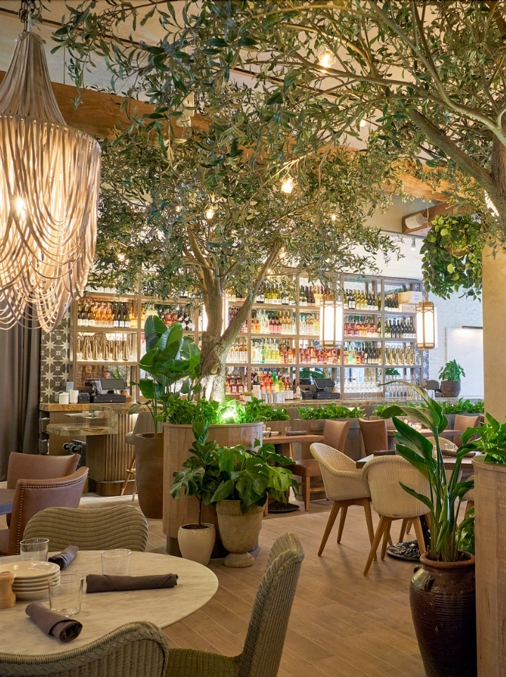 Aba Makes its Bal Harbour Debut Bal Harbour Shops