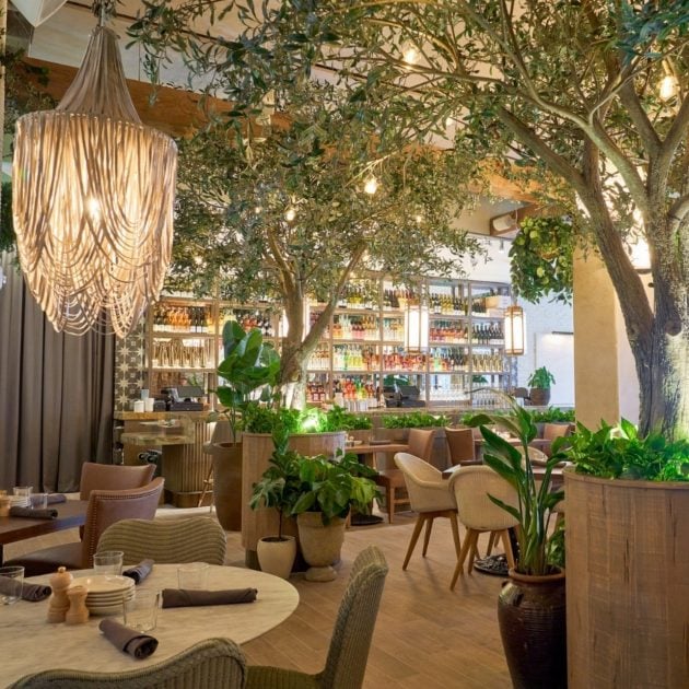 Interior image of Aba restaurant showcasing its lush green décor and Mediterranean influence