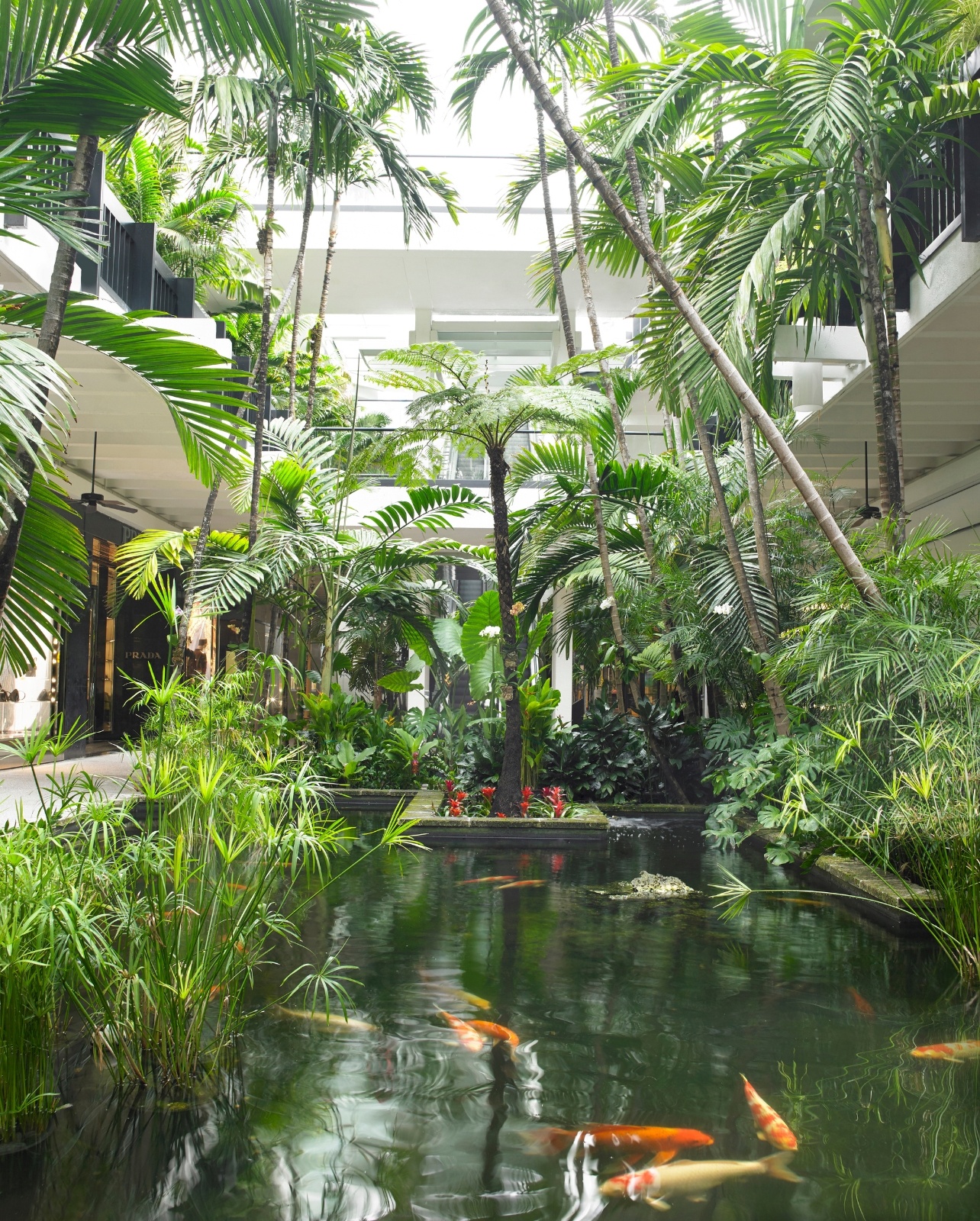 Image of Bal Harbour Shops koi ponds and lush tropical gardens