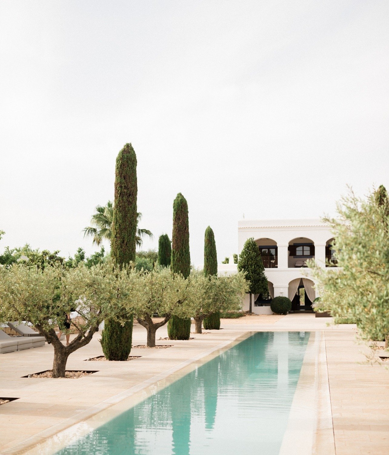 Landscaping adorning the Ca Na Xica luxury resorts saltwater pool