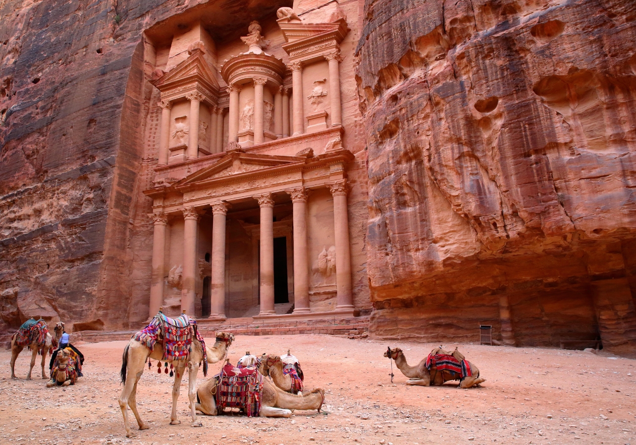 Camels in Pilar Guzmán's bucket list location, Petra, Jordan