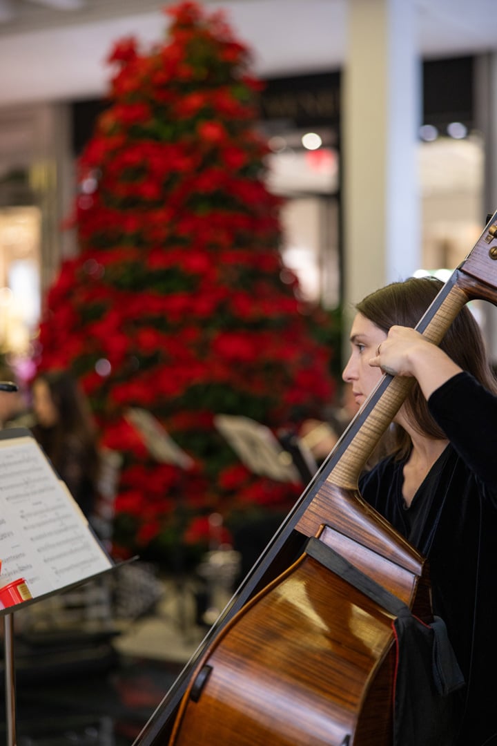 Cellist of the South Florida Symphony Orchestra performing at the event