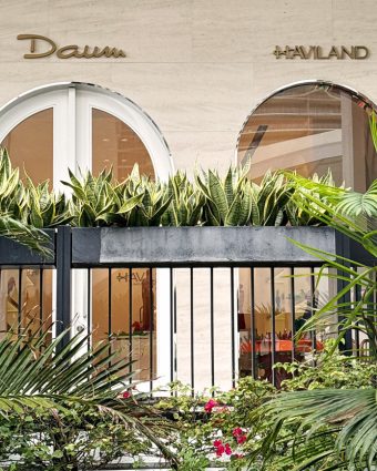 Daum Storefront