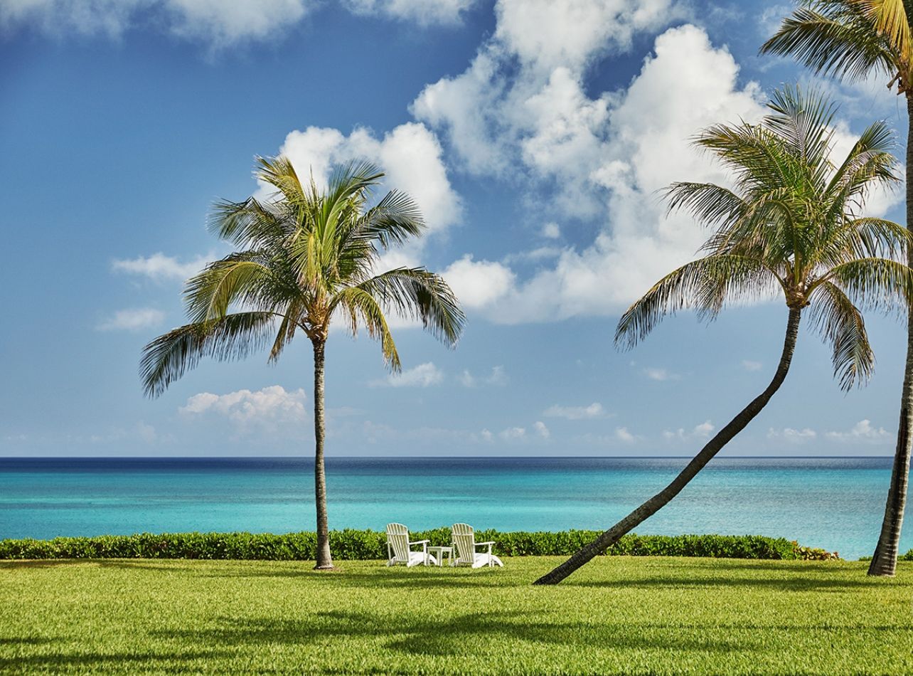 Ocean view with palm trees and greenery with two white beach chairs