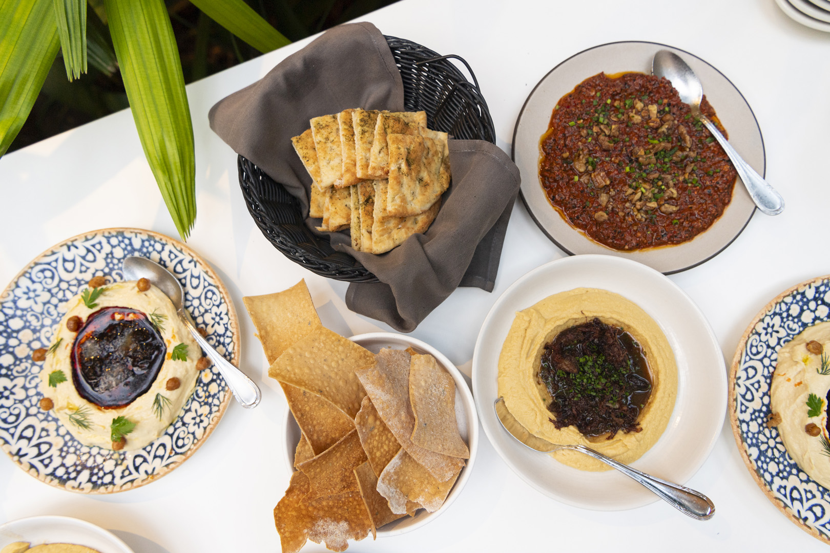 Aba Spread including their Smoky Garlic Hummus, Muhammara Spread and Crispy Short Rib Hummus
