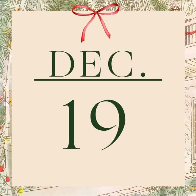Graphic that has the word Dec. and number 19 in green