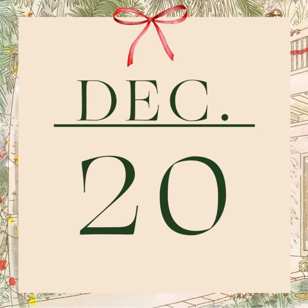 Graphic that has the word Dec. and number 20 in green