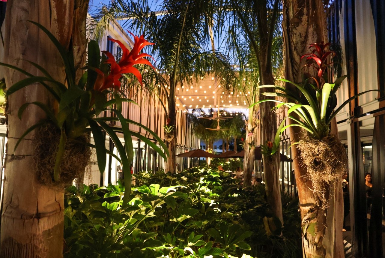 A cozy night shot of the tropical courtyard at the Bal Harbour Shops Access pop-up event