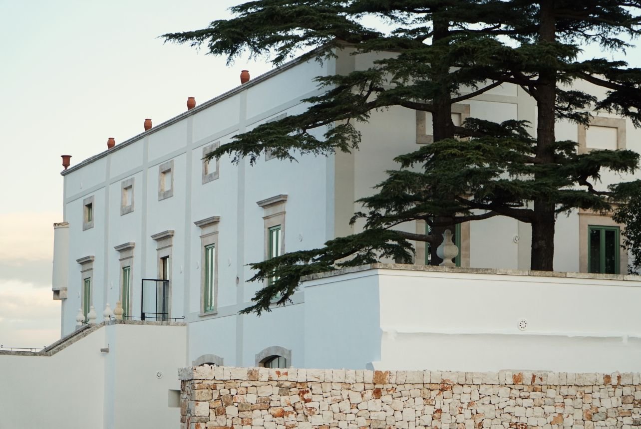 A white building with a tree in Puglia