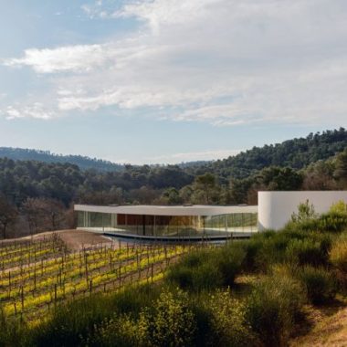 Art & Vines in Provence