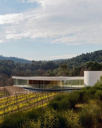 Art & Vines in Provence