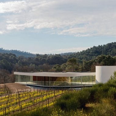 Art & Vines in Provence