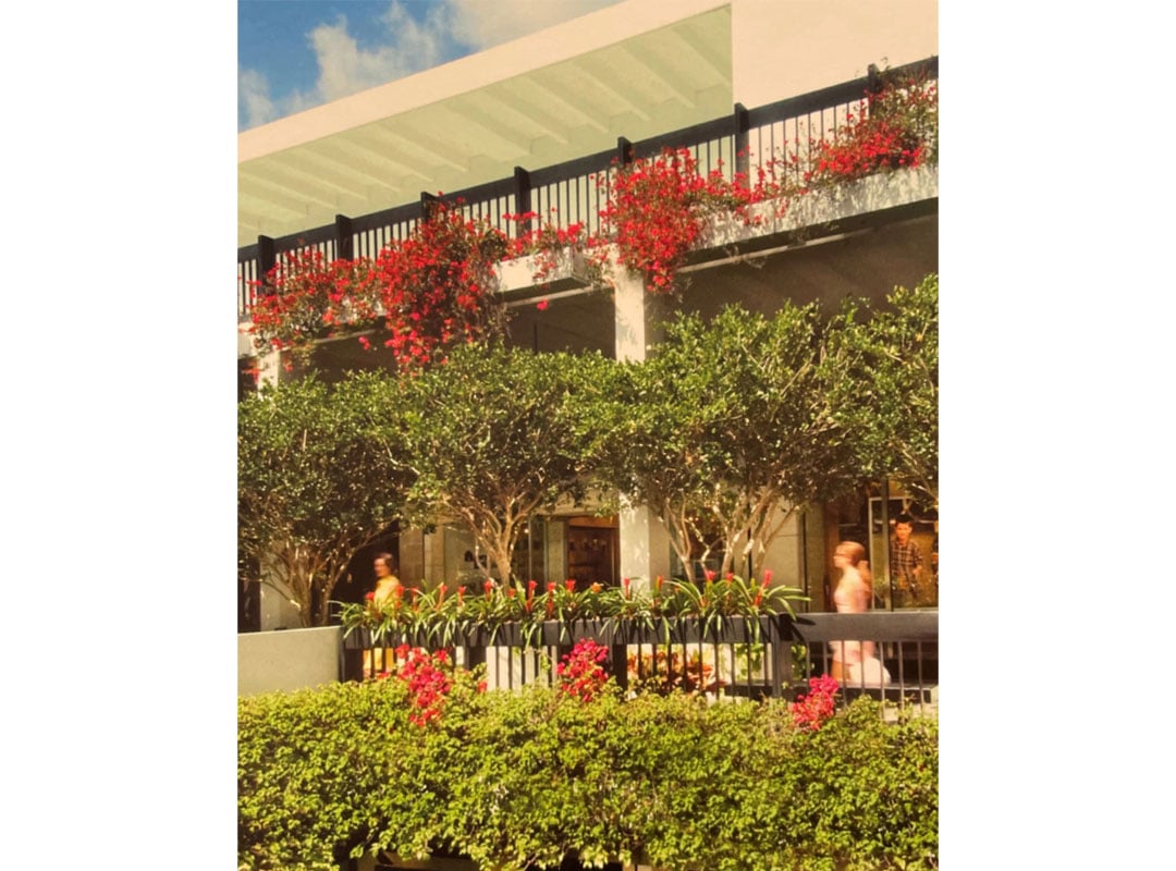 Bal Harbour Shops, C. 1970. Image courtesy of Bal Harbour Shops Archive Collection.