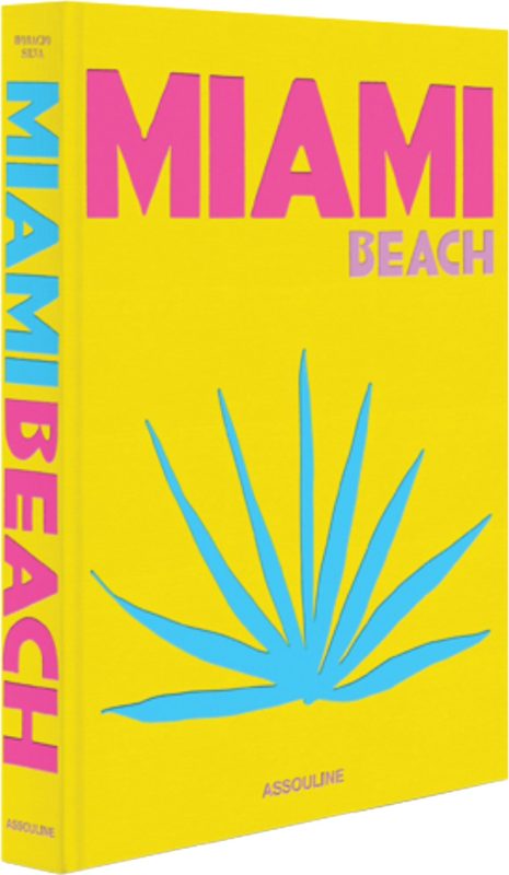 A yellow book with the title “Miami Beach” in pink letters with a blue palm design