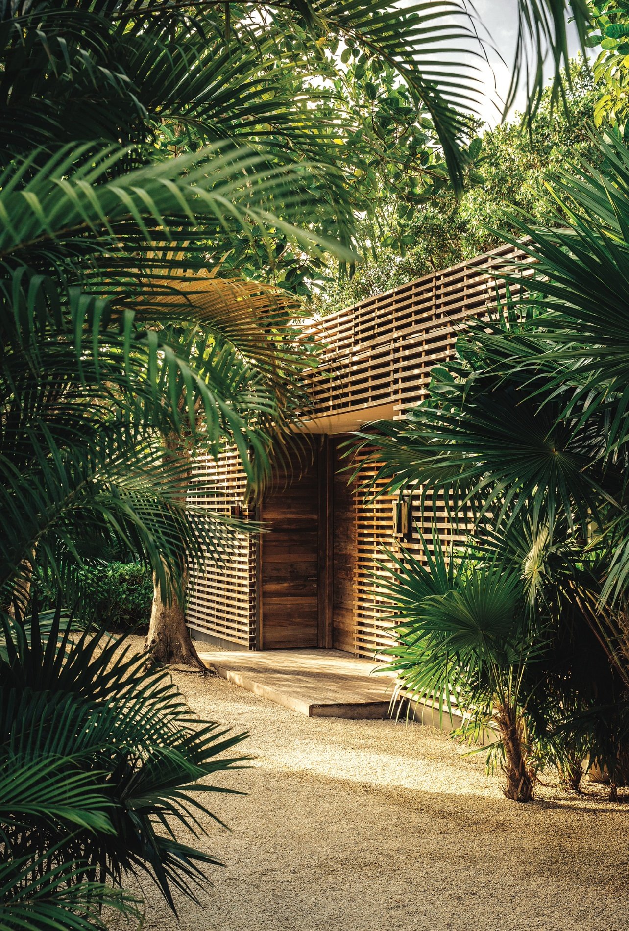 A wellness room exterior shot surrounded by palm trees
