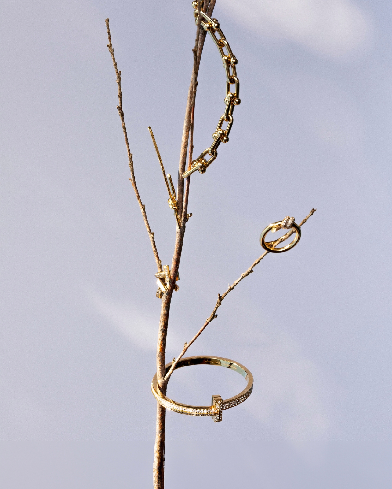 Tiffany & Co. gold jewelry photographed on a branch
