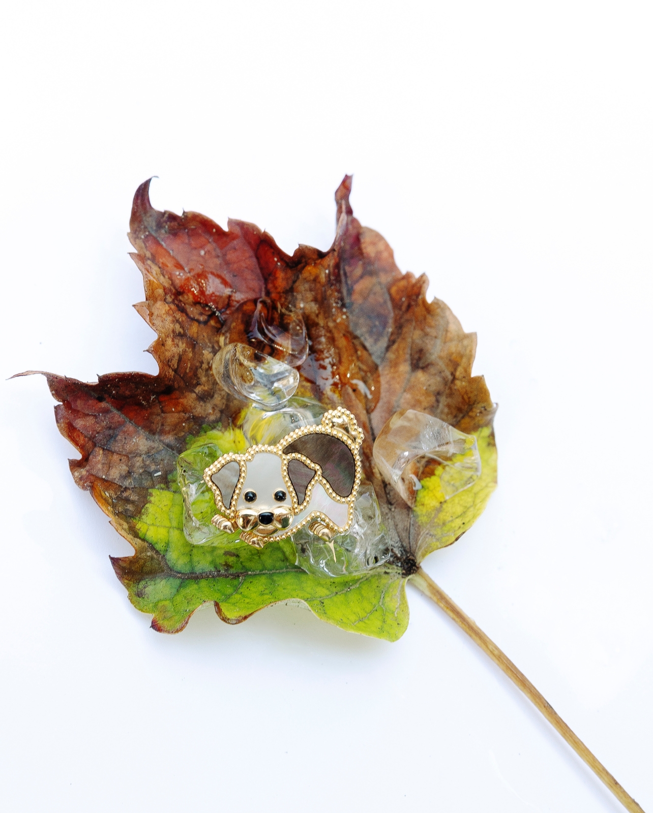 Van Cleef & Arpels Bichon Frise Clip in the shape of a dog resting on a leaf