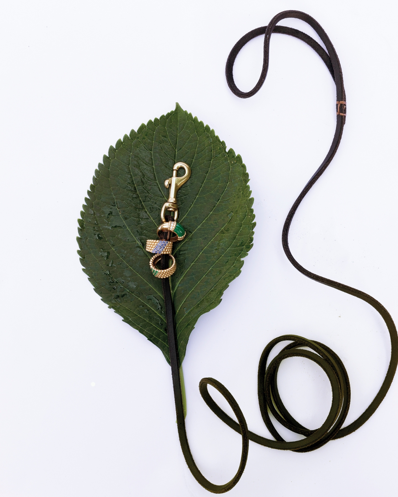 Van Cleef & Arpels diamond rings photographed on a fall leaf