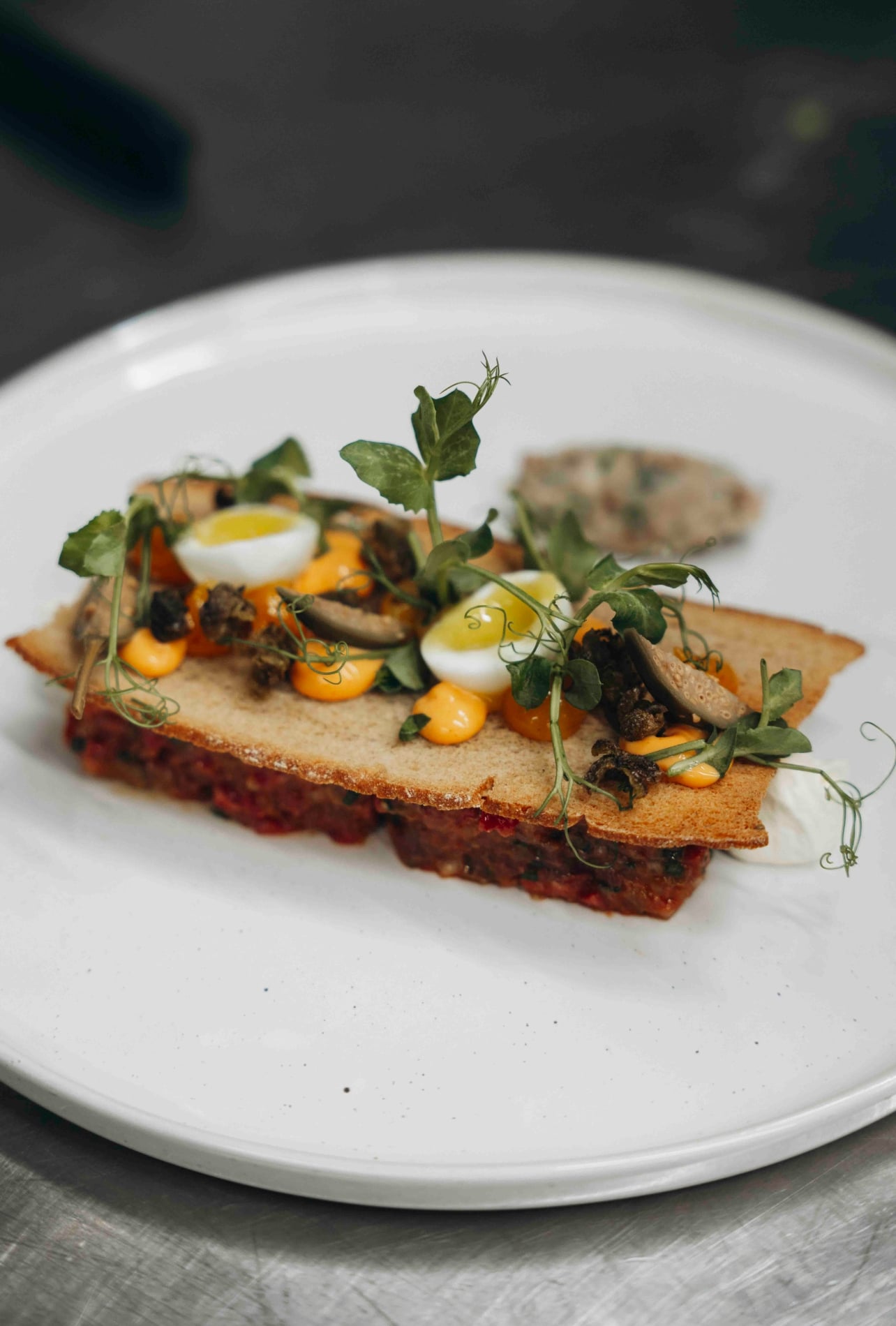 A plate of food with rye bread chip with quail egg and smoked bone marrow