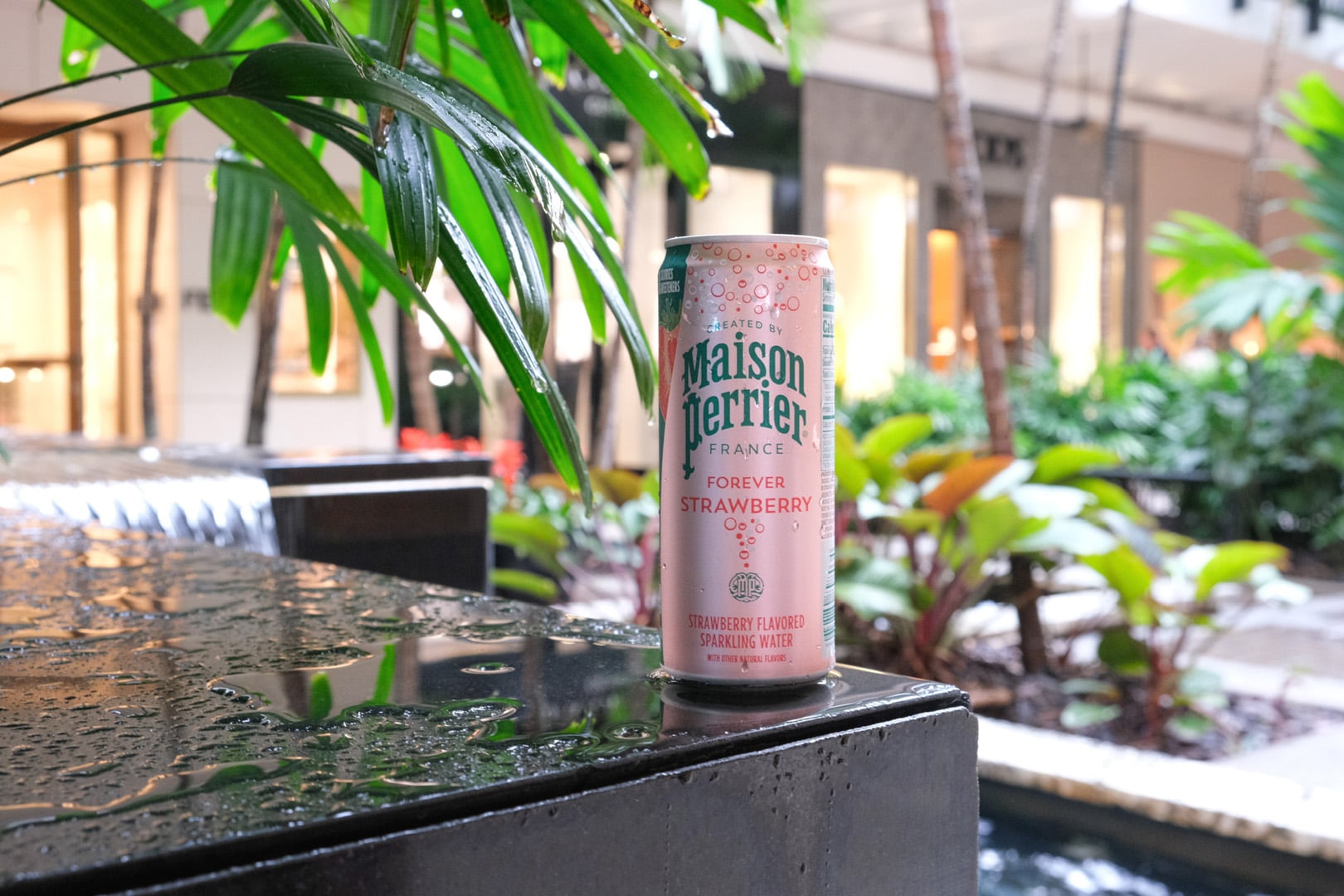 Guests enjoyed refreshments by Maison Perrier